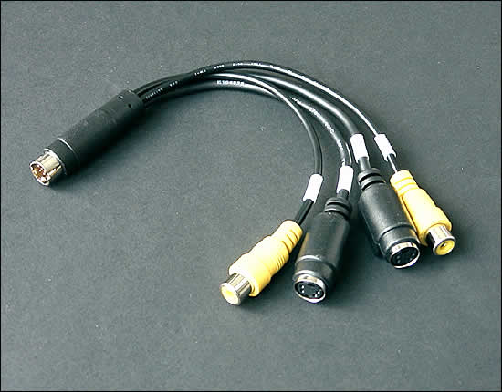 Kabel Peitsche