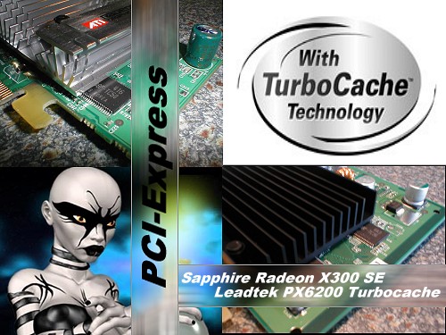 Leadtek PX6200 TurboCache gegen Sapphire Radeon X300 SE