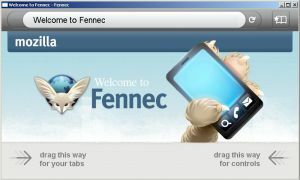 Fennec News