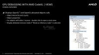 09-codexl-1