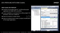 21-codexl-1