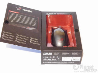dsci0011-1280x960