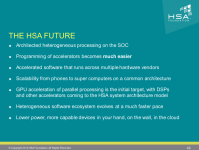 41hc25_hsa